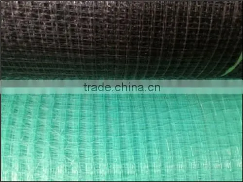 Plastic Netting Used Prevent Birds From Attacking Crops photo-3