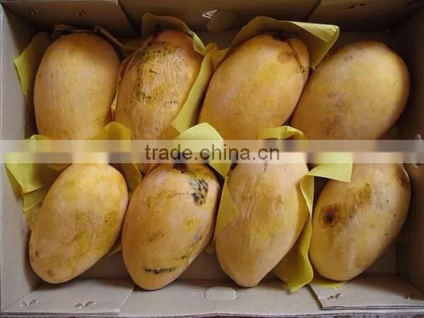 Best Quality Fresh Mango photo-4