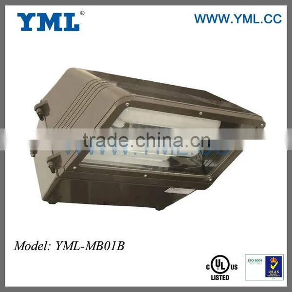 40-600W Magnetic Light Induction Lighting Induction Light Induction Lamp