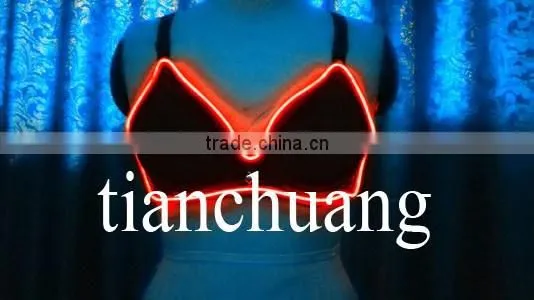 LED Light Lingerie / Sexy Bras and Panties / Neon Glow Lingerie