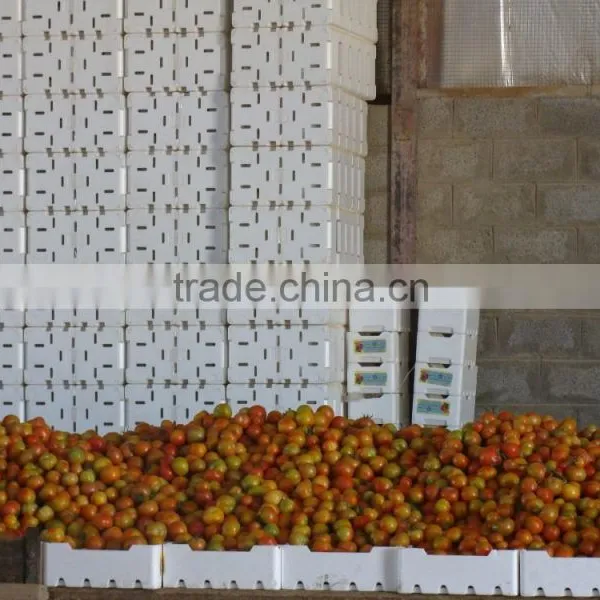 Vegetable Box Mold / Fruit Box Mold / EPS Mold photo-2