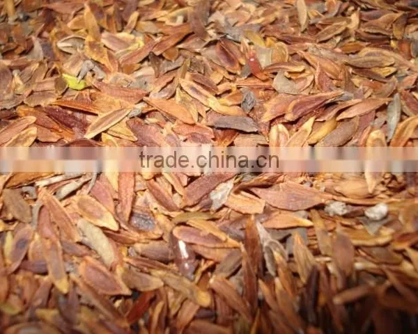 High Quality Lilac Syringa Oblata Winter Daphne Seeds photo-4