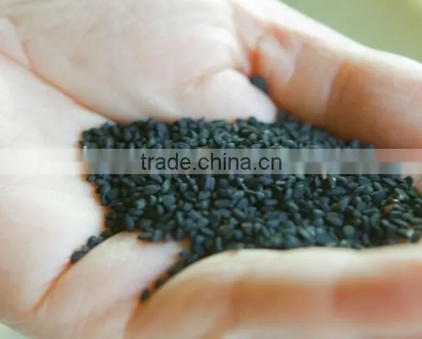 Black Cumin Seed Nigella Sativa