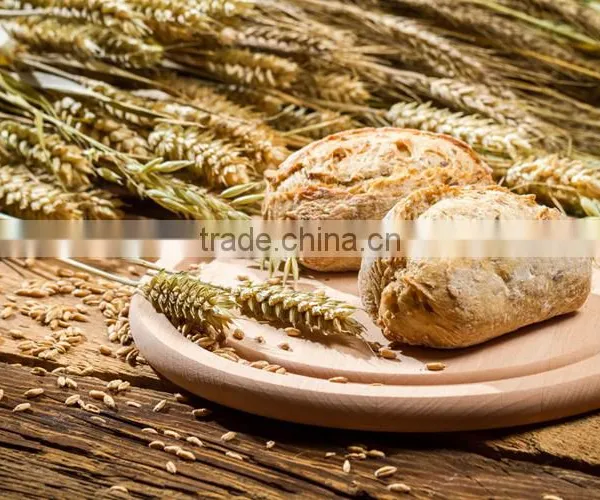 2016 High Quality Malt Extract photo-3