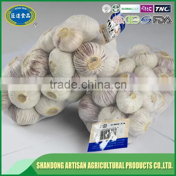 Best Price of Single Clove Garlic for Wholesale