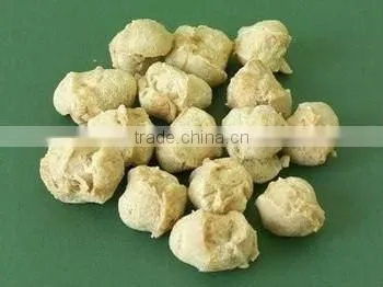 Textured Soya Protein Machinery photo-2