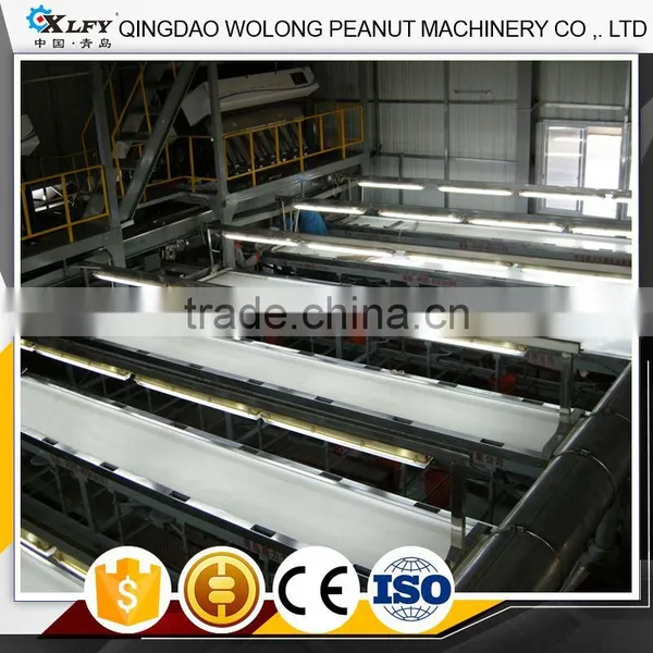 Best Sale Low Broken Rate Groundnut Peanut Picking Belt photo-3