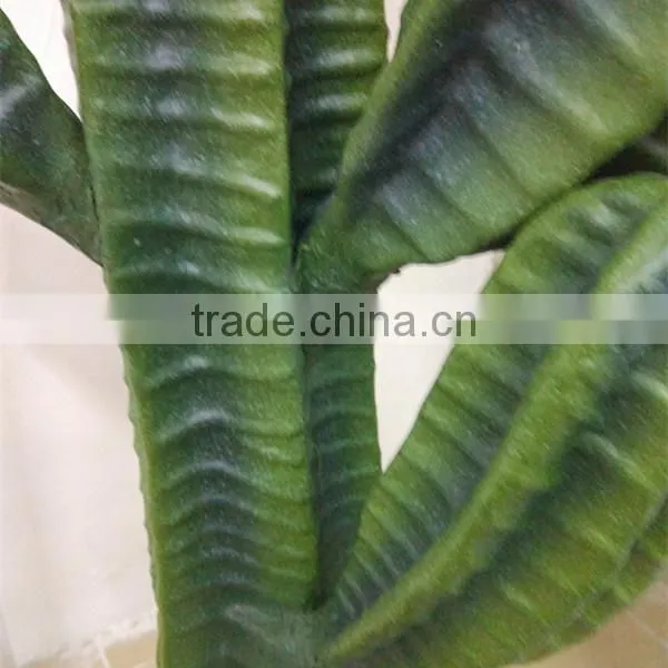 CHY030929 Landscaping Decprative Cactus/Real Touch Lucky Cactus Sale photo-4