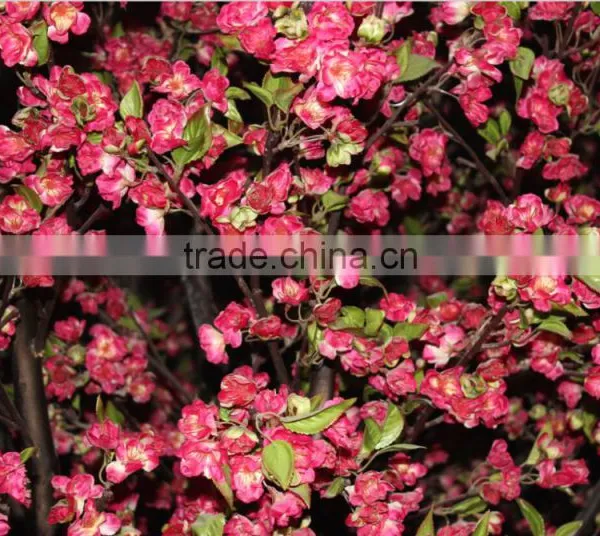 Cherry Blossoms Artificial Floral Tree Decorations,Fake Cherry Blossom Tree For Sale photo-5