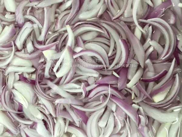 Frozen Onion Slice photo-4