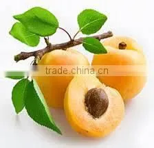 Apricoat Oil photo-5