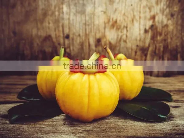 GARCINIA CAMBOGIA EXTRACT photo-2
