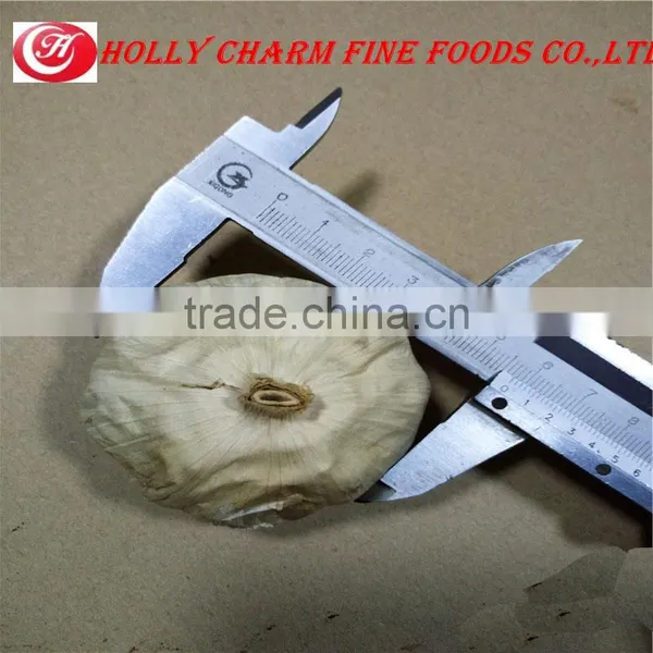 2016 Cheap Wholesale Price Black Garlic photo-3