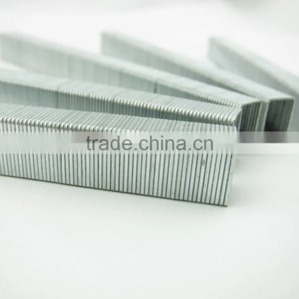 Staple Nail 1006F photo-2