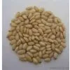 Sell Pine Nut Kernel
