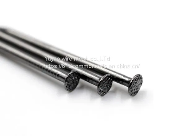 Iron Wire Nails Wood Nail photo-5