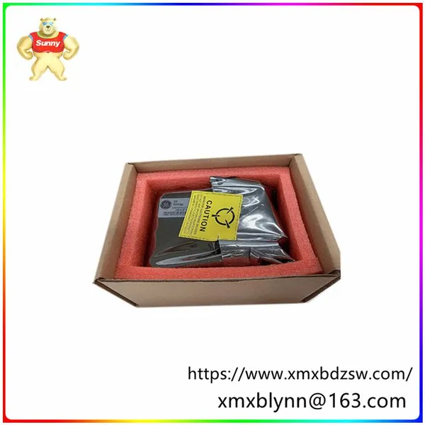 IS220PDIIH1B 336A5026ADP1 Thermocouple Input Module