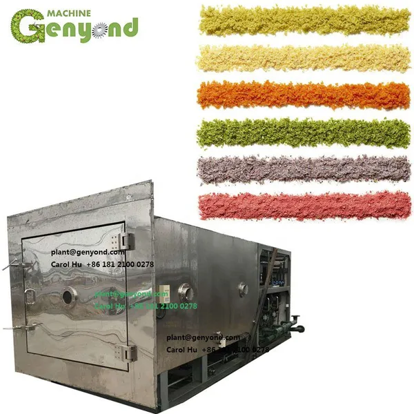 Vacuum Freeze Dried Drying Dryer Machine Food Fruit Honey Powder Instant Coffee Durian Strawberry Flowers Roses photo-3