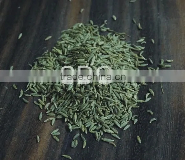 Quality Fennel Seeds
