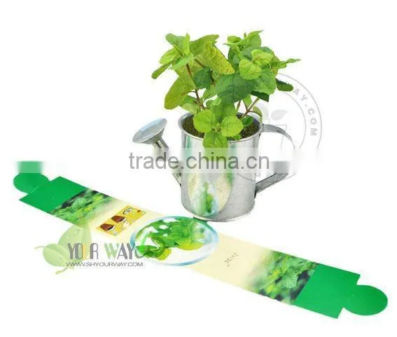 Wooden Box Mini Plant photo-3