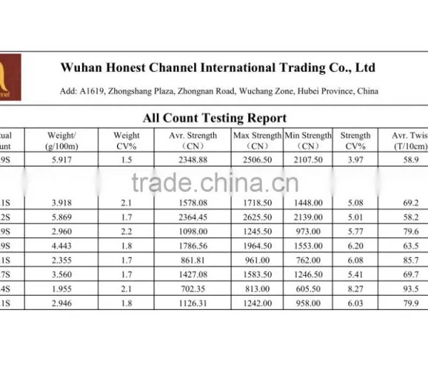 Raw White TFO 20/2 20/3 100% Spun Polyester Yarn photo-6
