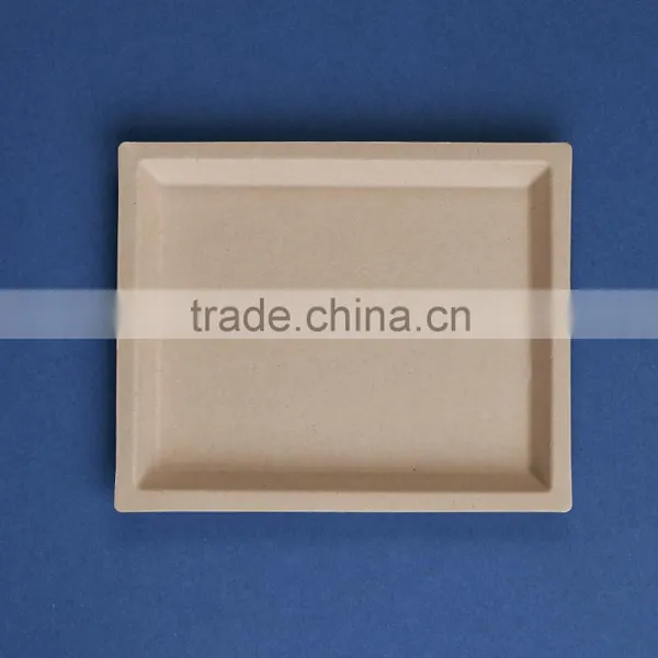 PL-75-UB 7*5 Inches Unbleacheddisposable Flate Rectangle Shape Sugarcane Dinner Plates Quality Choice photo-3