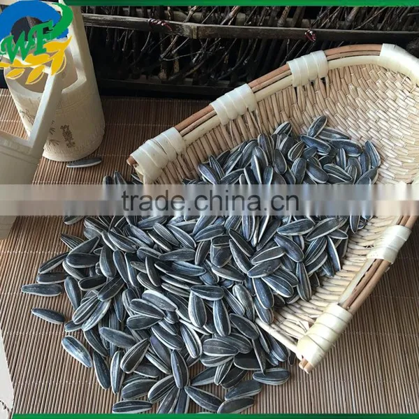 Raw Sunflower Seeds 0409 Stye Oil Market Price Oil Ukraine photo-2