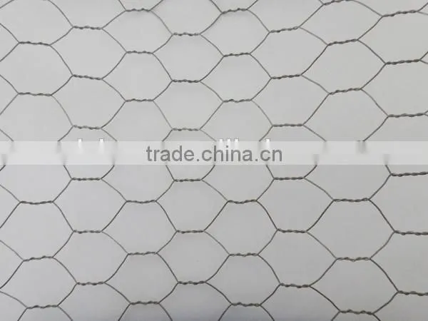 Best Price Electro Galvanized Hexagonal Wire Mesh photo-2
