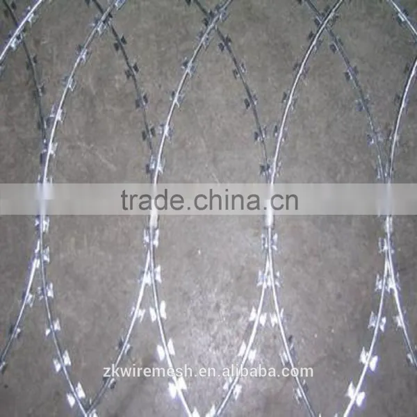 Express China Factory Low Price Concertina Razor Barbed Wire for Sale photo-5