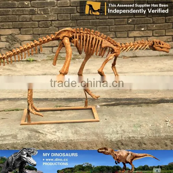 MY Dino-C075 Small Fake Skeletons for Home Decoration photo-5
