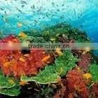 waterproof polyester canvas