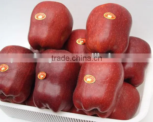 2015 Chinese Huaniu Apple photo-4