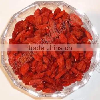 Goji Fruit/Ningxia Goji Berry