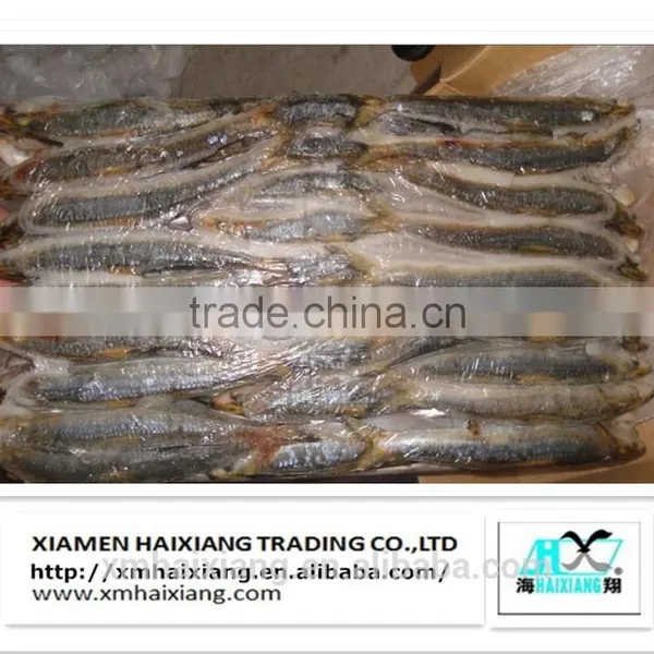 New Arrival Frozen Sardines for Bait photo-2