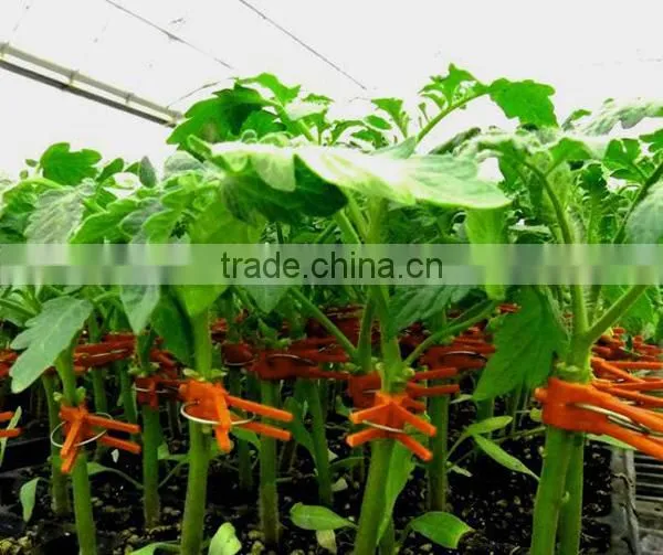 High Quality Red Color Plastic Clip for Agricultural Grafting