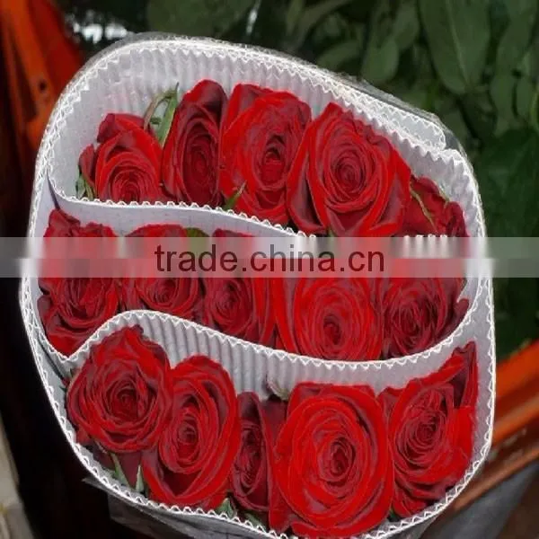 Export Fresh Cut Flowers Roses From Kunming Planting Base photo-3