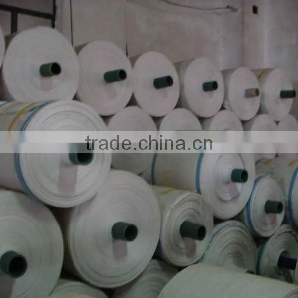 High-level Quality Plastic Woven Bag for Packing Rice photo-2