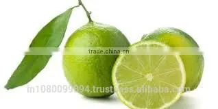 Lime Oil photo-2