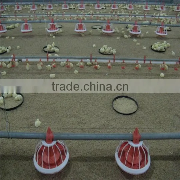 Chicken Feeder Pan photo-2