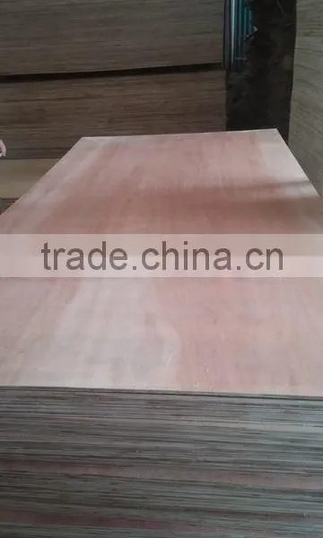 Packing Grade Laminated 18mm Eucalyptus Plywood photo-5