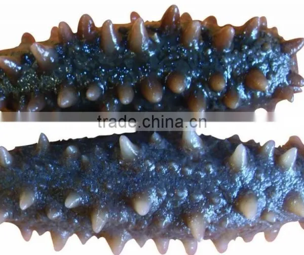 Liquid Nitrogen Fast Freeze Machine for Freezing Sea Cucumber photo-4