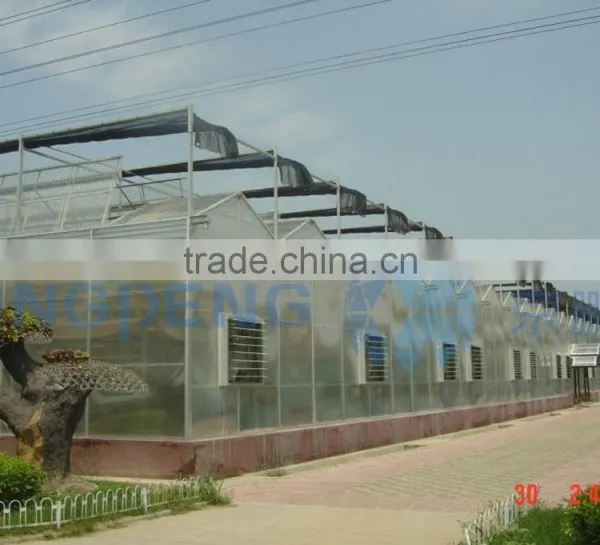 Fully Openable Roof Film Greenhouse ISO9001:2000 photo-2