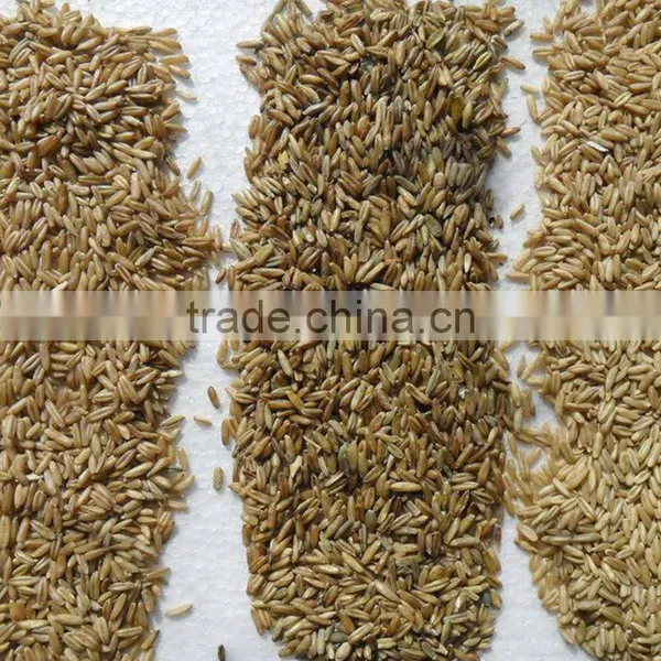 Anhui Manufacturer LED Ccd Corn Color Sorter Machine photo-6