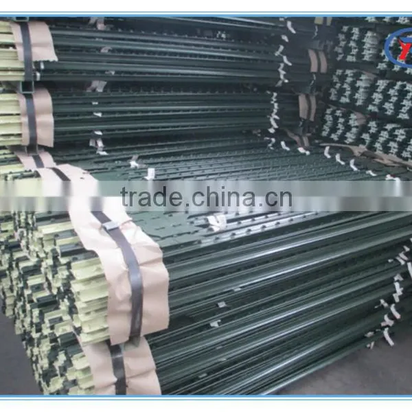China High Quality Green and Red Painted Studded Steel T Post photo-6