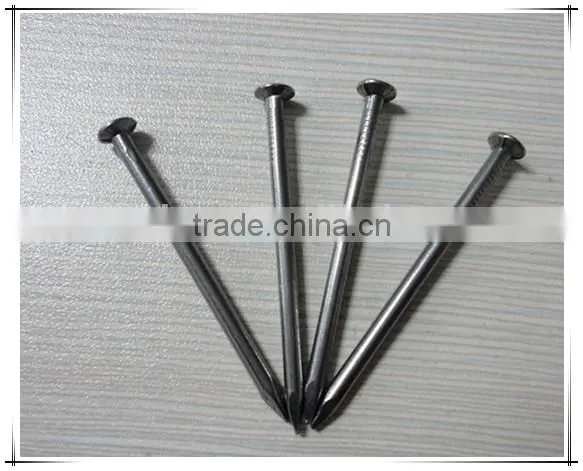 China Manufacturer Common Nails Iron Nail Price and Size photo-4