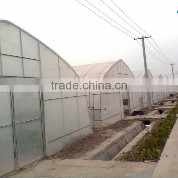 the Most Cheap Tunnel Greenhouse for Fruit photo-6