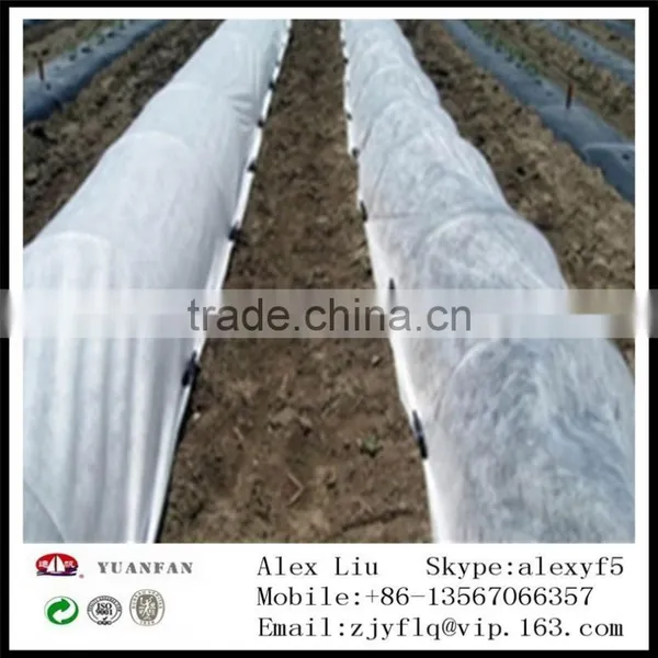 TNT Non Woven Fabric , Agriculture Useing pp Non Woven Fabric photo-2