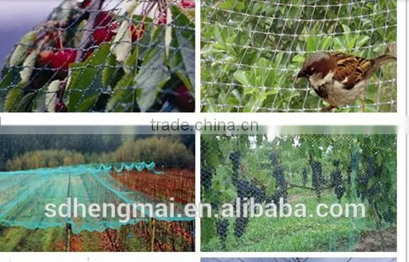 100% Virgin HDPE Protection Anti-hail Net,wind Net /Anti Bird Net photo-6