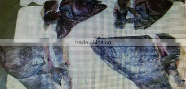Greenland Halibut Head