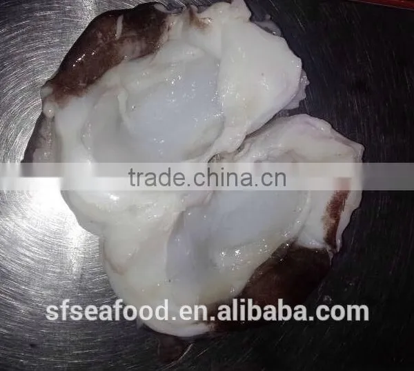 Good Quality Seafood Frozen Giant Squid Neck photo-4